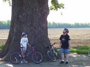 Burr oak